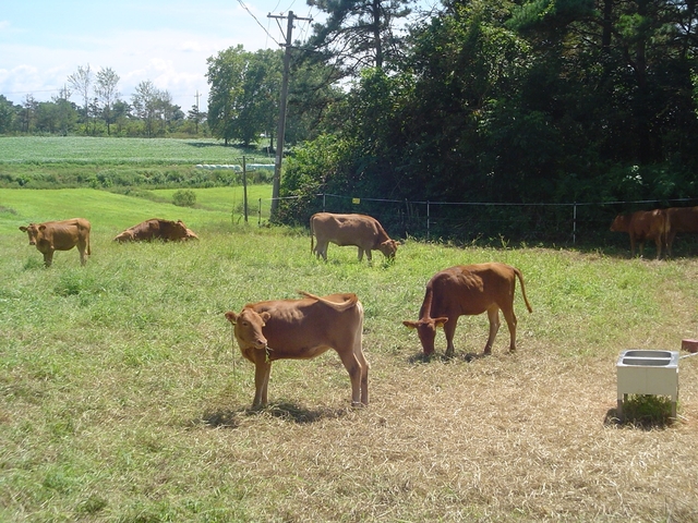 축산시험장. 전남도청 제공