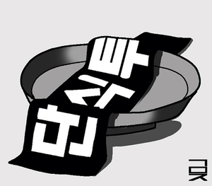 ‘단식 정치’의 명암[오후여담]