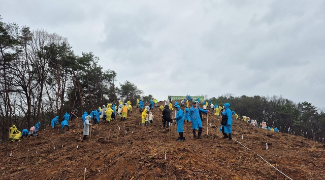 지난해 충남 공주 식목행사