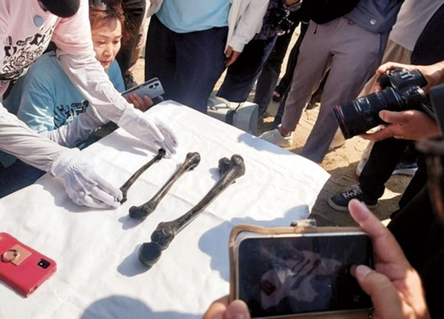 조세이 탄광에서 발견된 유골.  대한불교관음종 제공