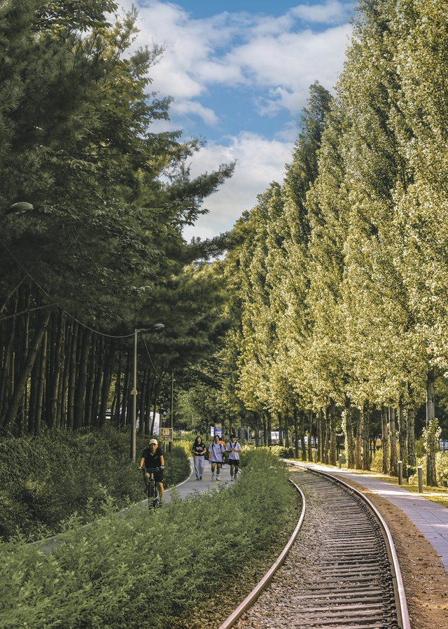 서울 노원구의 경춘선숲길을 산책하는 시민들. 노원구청 제공