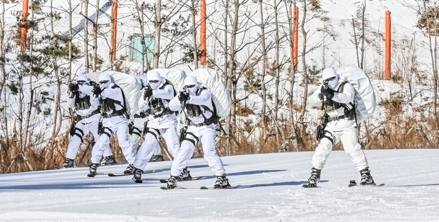육군 특전사 장병들이 강원도 대관령 황병산에서 설한지 극복훈련 중 스키를 활용한 설상 기동훈련(전술스키)을 실시하고 있다. 육군 제공