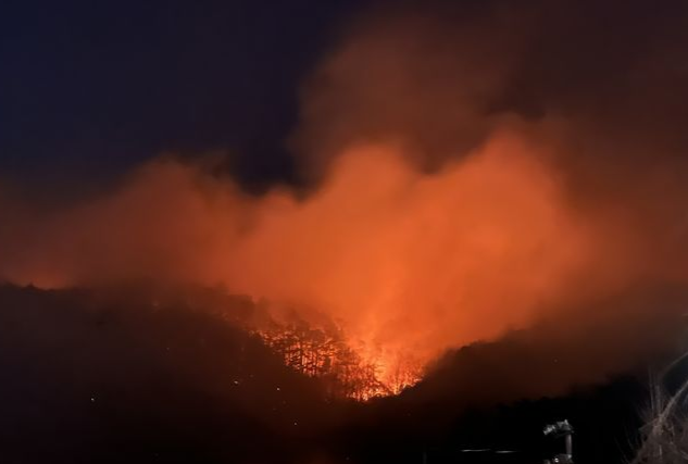 21일 오후 광양시 옥곡면 한 주택에서 난 불이 주변 야산으로 번져 당국이 야간 진화에 나서고 있다. 전남소방본부 제공