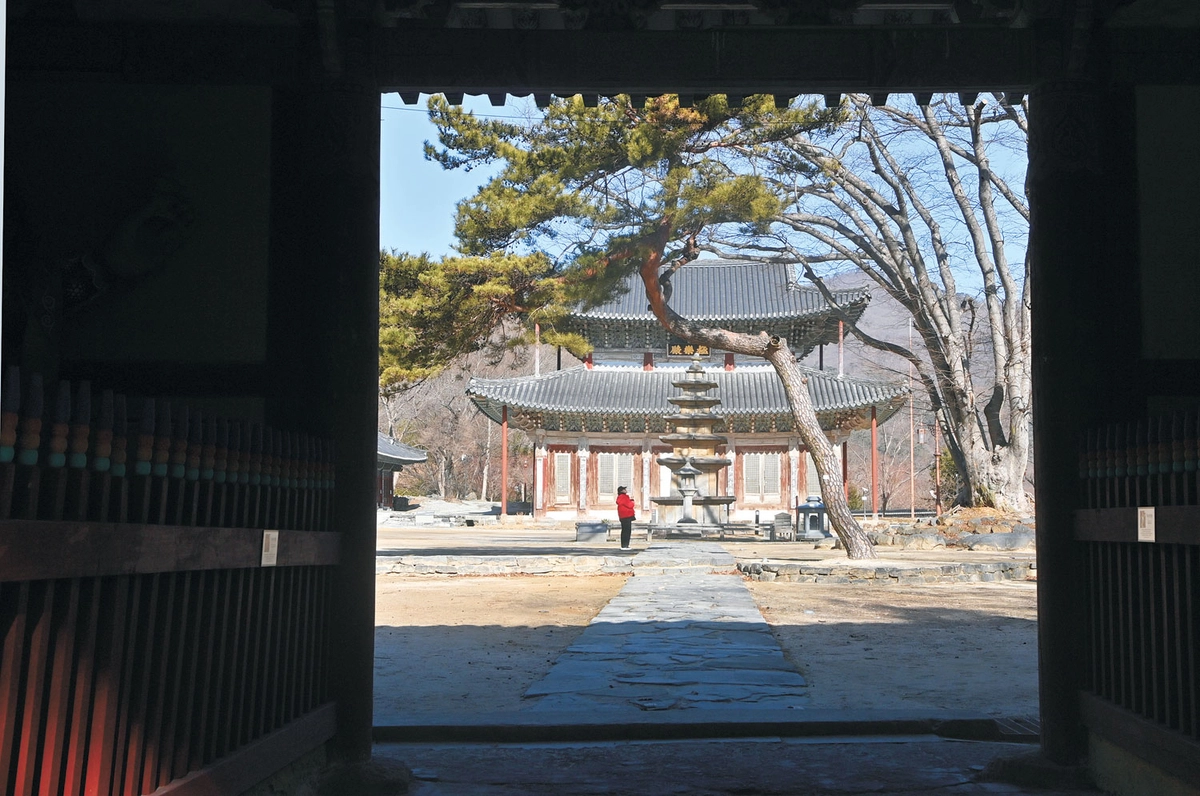 충남 부여 무량사에서 가장 인상적인 장면. 천왕문이 액자가 되고 그 안으로 소나무와 석등, 극락전이 일렬로 늘어섰다.