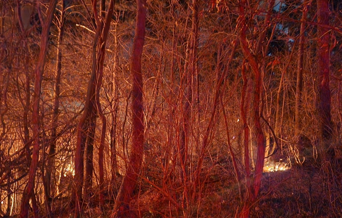 [속보]‘밤새도록 탔다’…부산 산불 10시간째, 해뜨면 헬기 13대 투입