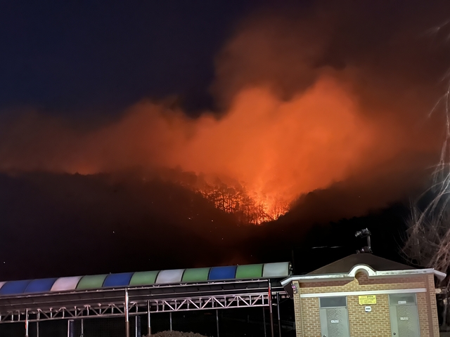 광양 산불. 전남도소방본부 제공