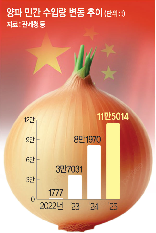 중국산 양파의 습격... 국산보다 비싸도 잘팔린다 - 뉴스 썸네일 이미지