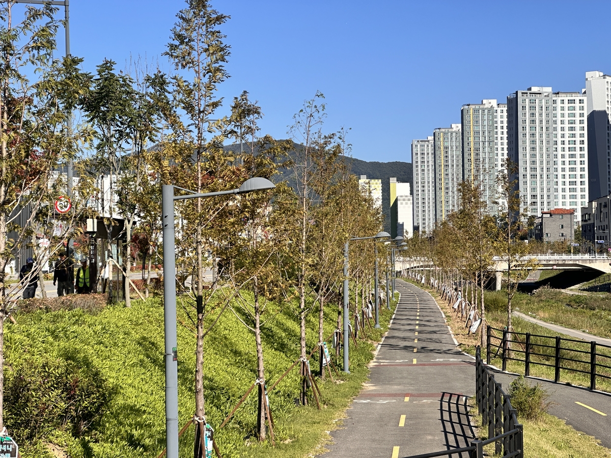 청주시, 도시바람길숲 9개소 연말까지 조성 - 뉴스 썸네일 이미지