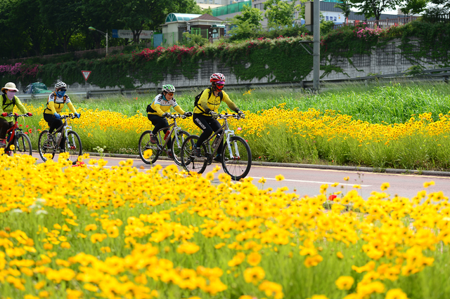 시민들이 중랑천변 자전거길에서 자전거를 타고 있다. 동대문구청 제공