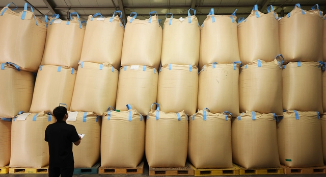 지난해 10월 경기도의 한 미곡종합처리장에서 관계자가 올해 수매한 쌀을 살펴보고 있다. 연합뉴스