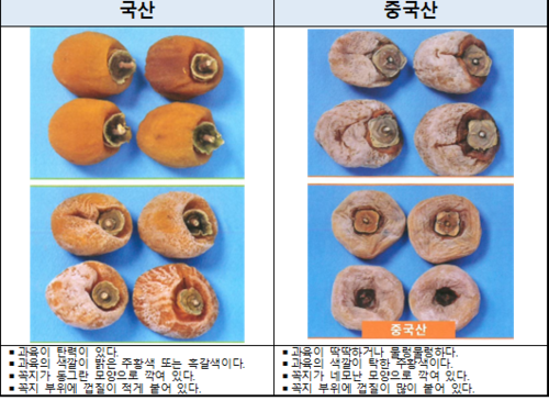 국산과 중국산 곶감 구별법. 국립농산물품질관리원 제공