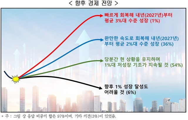 한국경영자총협회(경총)의 ‘경제 현황 및 주요 현안에 대한 전문가 조사’. 경총 제공