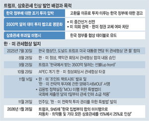 정부, 트럼프 진의 파악 주력… 대미투자법 발의됐지만 상임위서 계류