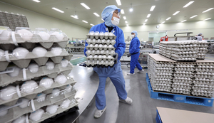 미국산 계란 유통