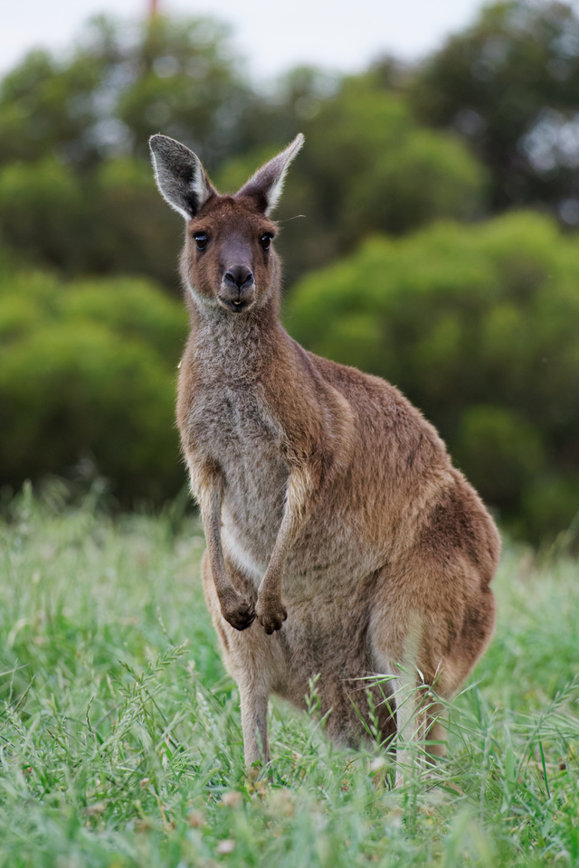 °ÔƼÀ̹ÌÁö¹ðÅ©