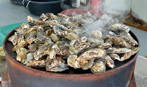 추워야지 제 맛… 겨울바다 ‘三味’[이우석의 푸드로지]