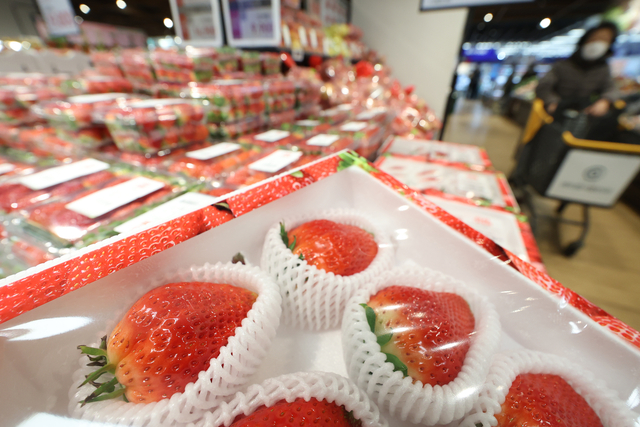4일 서울의 한 대형마트에 딸기가 진열되어 있다. 연합뉴스