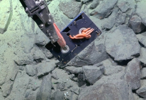 아르헨티나 심해에서 ‘한국어 스티커’ 붙은 비디오 발견?