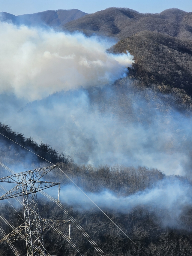 경북 경주시 문무대왕면 입천리 일대 산불 이틀째인 8일 연기가 확산하고 있다. 경북소방본부 제공