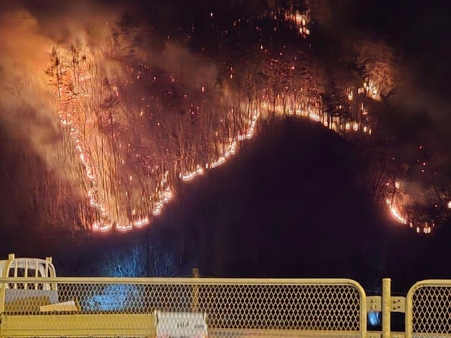 8일 오후 8시 20분쯤 경북 경주시 문무대왕면 안동교차로 인근에서 재발화한 산불이 강풍을 타고 빠르게 확산하고 있다. 뉴시스