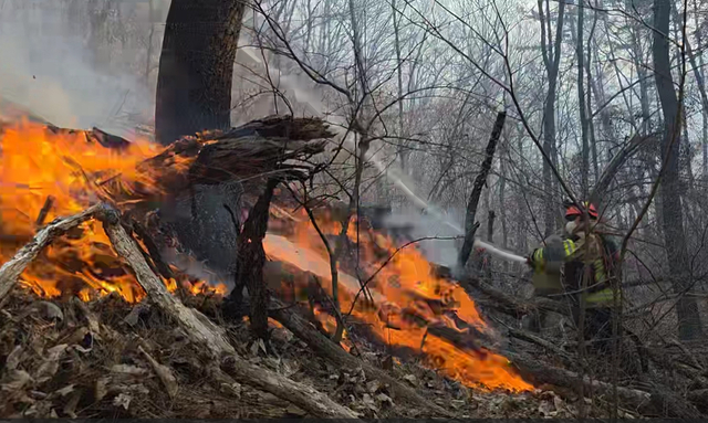 경주 산불 진화하는 소방대원들.연합뉴스