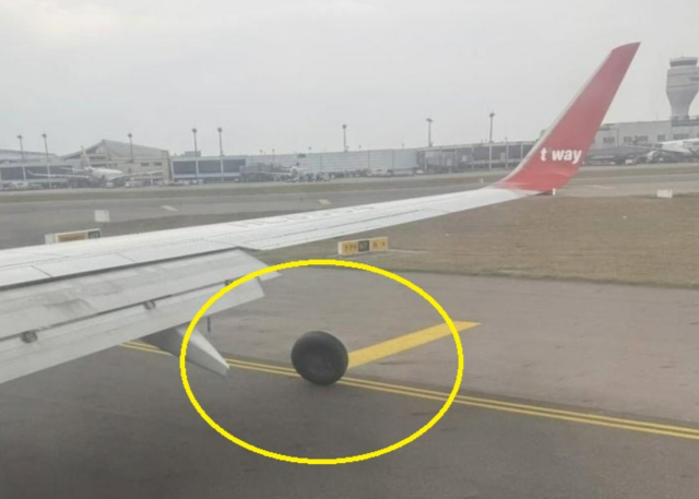 연합뉴스(독자제공 사진 전재 중시신문망 캡처)