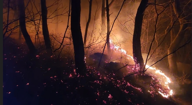 9일 새벽 부산 동래구 쇠미산 능선에 불이 나 옮겨 붙고 있다. 부산소방재난본부 제공