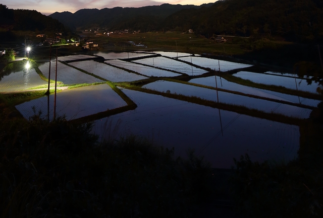 게티이미지뱅크