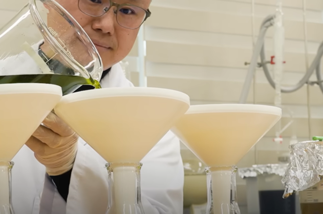 경기도산림연구소의 한 연구원이 실험에 열중하고 있다. 경기도산림연구소 제공