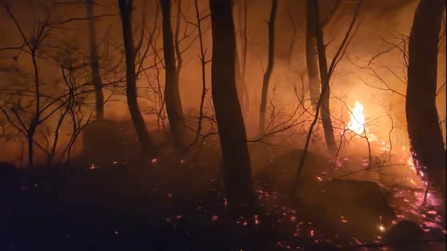금정봉 산불 현장. 부산소방재난본부 제공