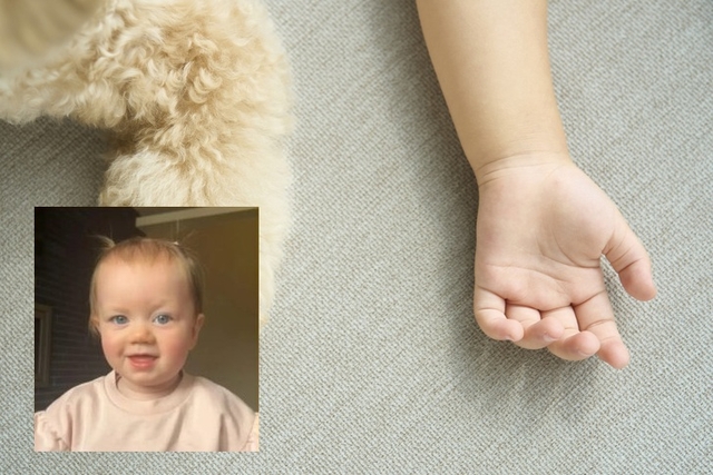 영국에 사는 20대 부부가 17개월 된 딸을 재운 뒤 다음 날 아침 숨진 채 발견하는 비극을 겪었다. 부검과 추가검사에도 정확한 사인이 규명되지 않자 가족들이 소아원인불명돌연사에 대해 경각심을 당부하고 나섰다. 게티이미지뱅크 더선 캡처