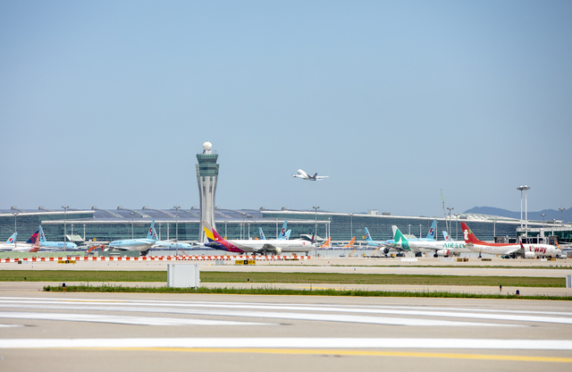 “아버지가 안락사 목적 출국”… 항공기 멈춰세운 경찰, 60대 남성 스위스行 막아