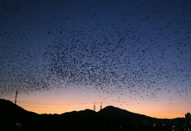 연합뉴스 자료사진