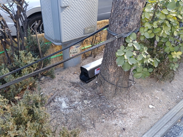 자동 셔터로 쥐를 생포하는 서울 구로구의 스마트 구서 장비 ‘바이퍼’ 설치 모습.