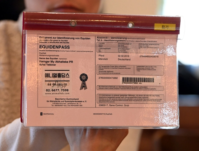 아할테케 품종을 나타내는 ‘함가’의 말 여권(Equine Passport) 사진. 박윤슬 기자