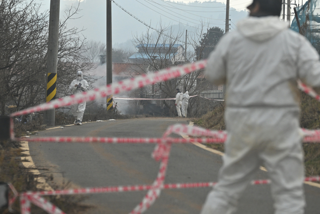 전남 나주 지역에 아프리카돼지열병(ASF)이 발병한지 사흘 째인 지난 11일 나주의 ASF 발병 농가에서 방역 요원들이 차단선을 설치하고 있다. 뉴시스