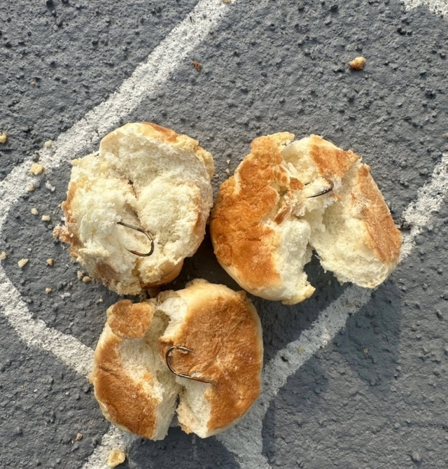 전남 나주 금천면 나주반려견놀이터에서 발견됐다고 알려진 낚싯바늘 박힌 빵. 엑스 캡처