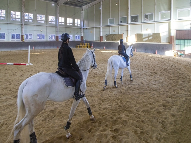 경기 양평군 곤들쌔들 승마클럽. 경기관광공사 제공