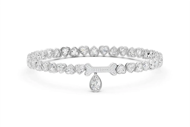 한 반려견 전용 명품 브랜드에서 판매하는 제품의 모습.뉴욕포스트