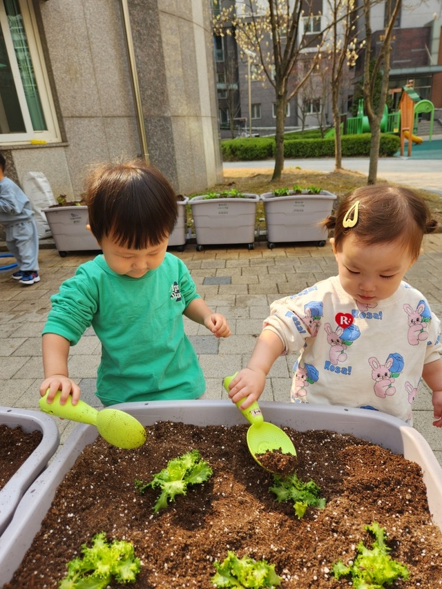서울 강남구에서 어린이들이 상자텃밭에 식물을 심고 있다. 강남구청 제공