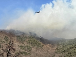 산림청장 ‘만취사고’ 파장 속 전국 산불 이틀째 지속