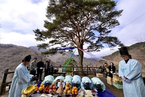 전북 남원 지리산 와운마을 ‘천년송 당산제’
