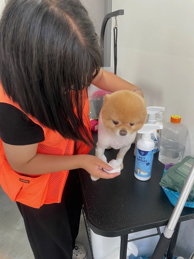 한 자립준비청년이 지난해 7월 애견호텔에서 인턴십 활동을 하고 있는 모습.  초록우산 제공