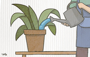 봄에 생긴 일[유희경의 시:선(詩:選)]