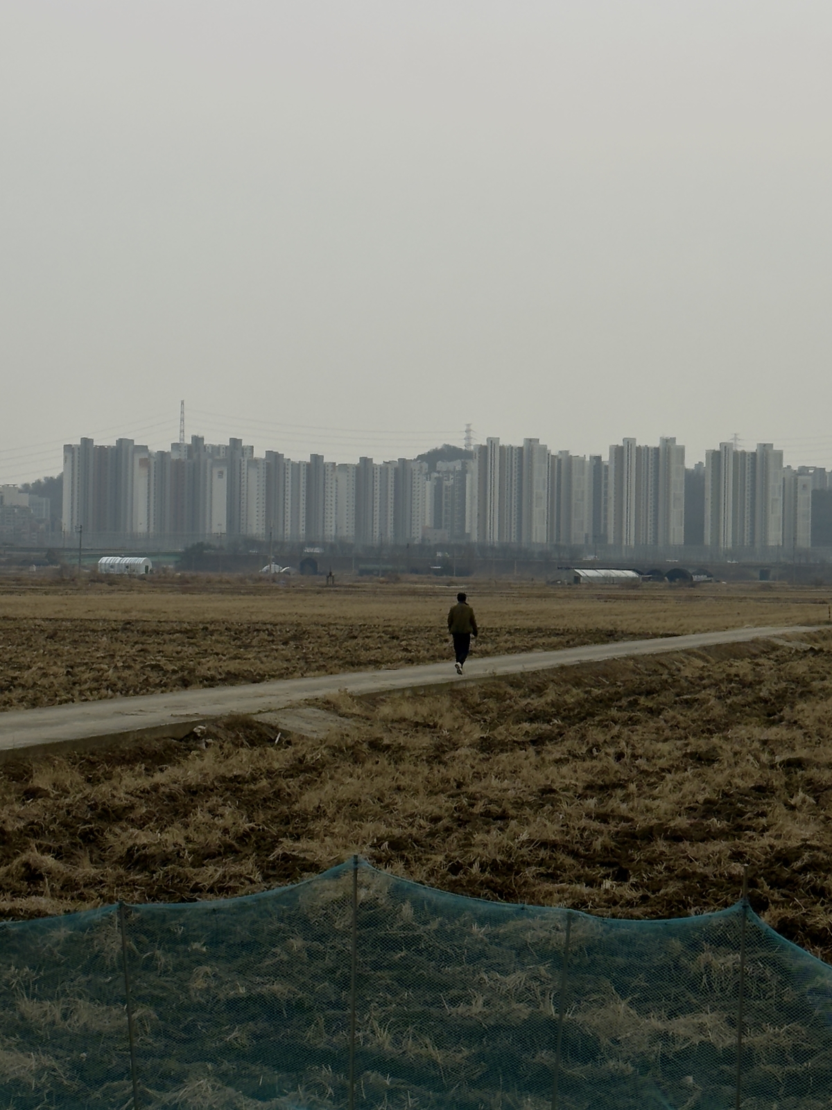 [단독]李, ‘경자유전’ 지적했는데… 靑참모 N분의 1 농지매입