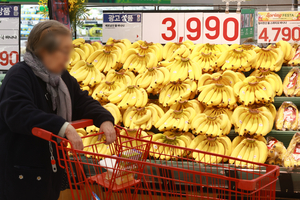 과일 가격 급등