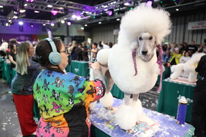 “예쁘게 해줄게”