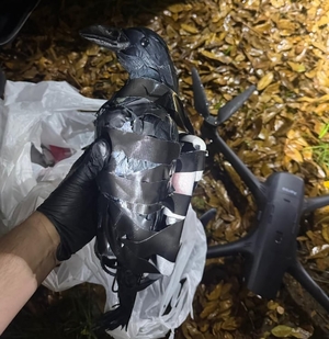 “까마귀 날자 마약 떨어진다?” 교도소로 마약·담배 반입한 새의 정체는…