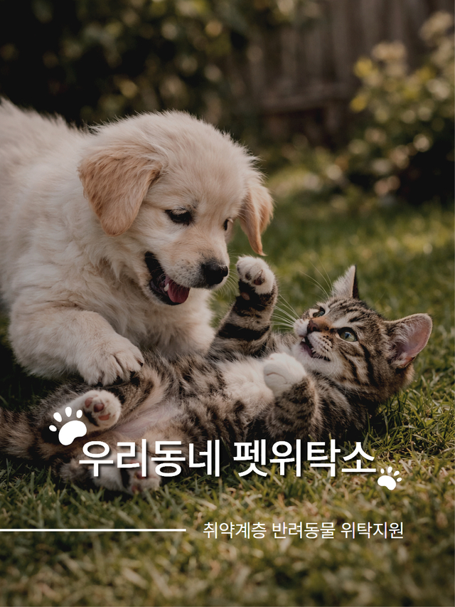서울 강서구의  ‘펫위탁소’ 운영 홍보물. 강서구청 제공