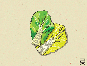 봄동[한성우 교수의 맛의 말, 말의 맛]